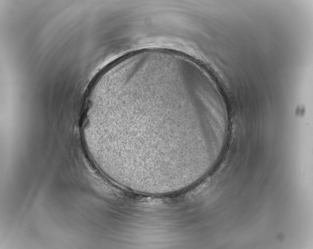 X0000093471505200711021220