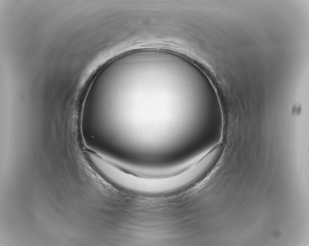 X0000093471506200711021220