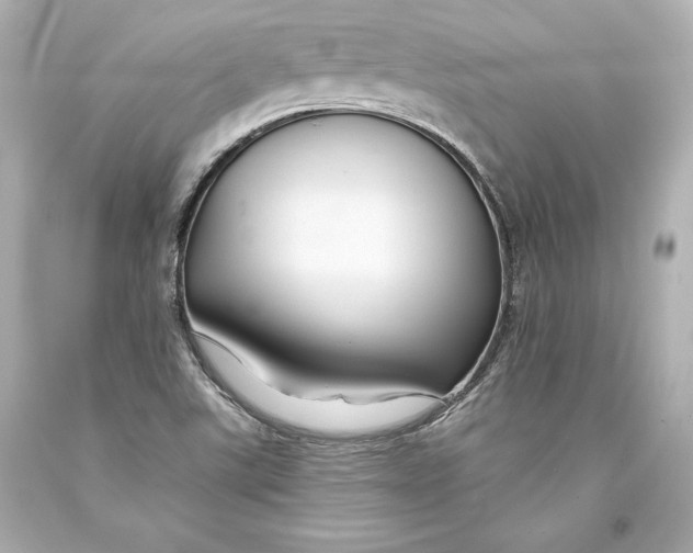 X0000093471507200711021220