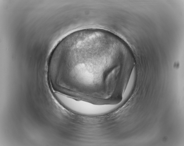 X0000093471508200711021220