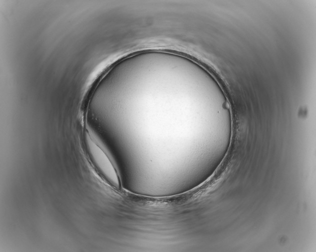 X0000093471509200711021220