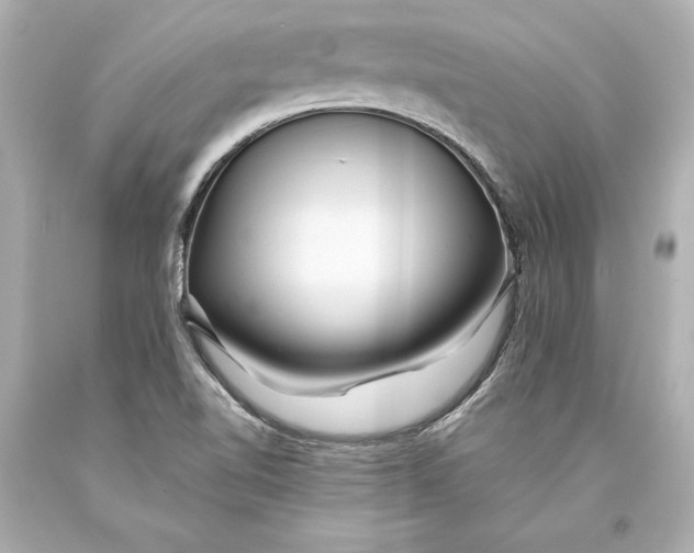 X0000093471510200711021220