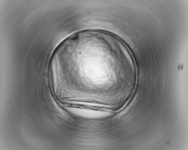 X0000093471513200711021220