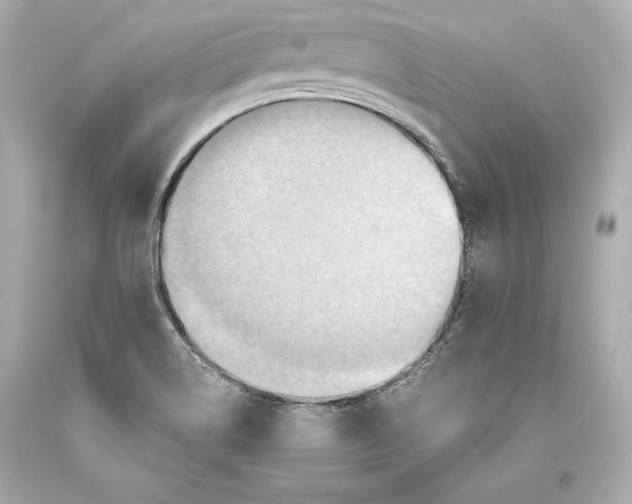 X0000093471514200711021220