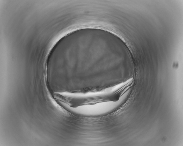 X0000093471515200711021220