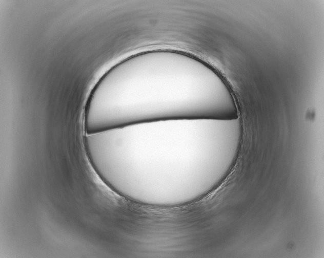 X0000093471516200711021220