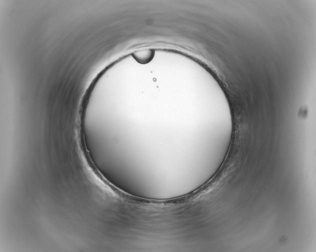 X0000093471518200711021220