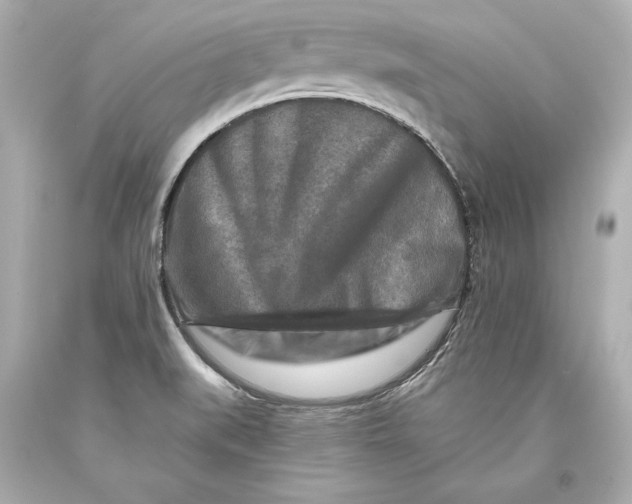 X0000093471519200711021220