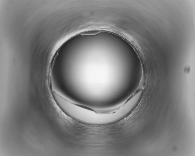 X0000093471520200711021220