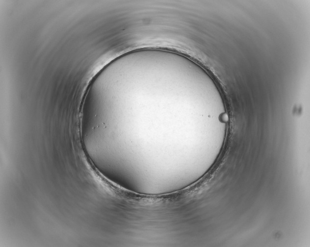 X0000093471521200711021220