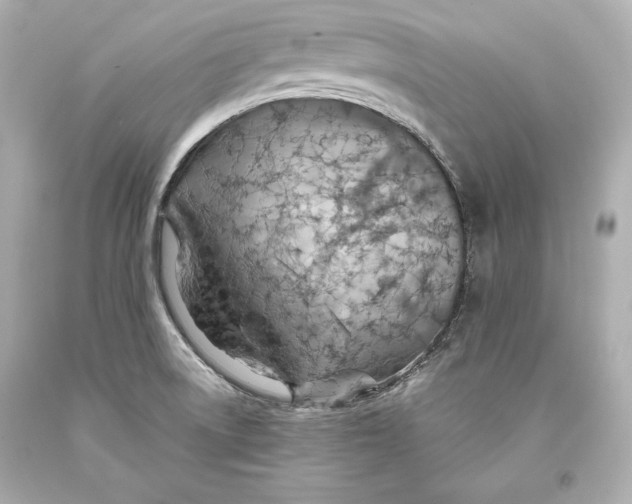 X0000093471522200711021220