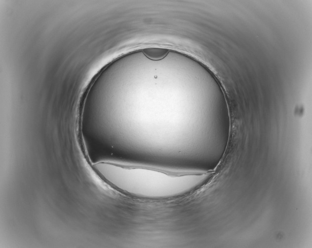 X0000093471523200711021220