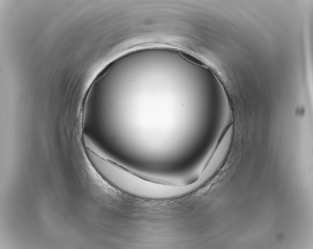 X0000093471524200711021220