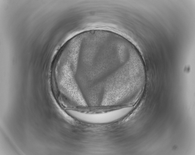 X0000093471525200711021220