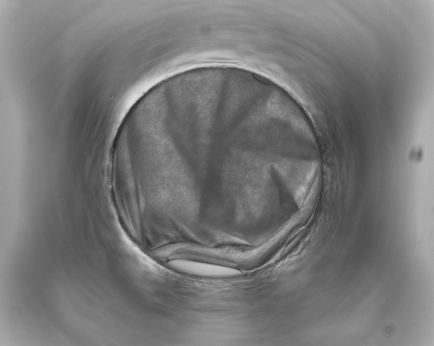 X0000093471527200711021220