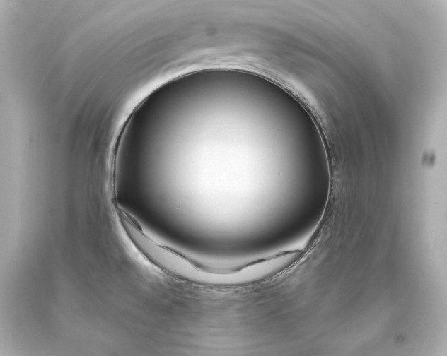 X0000093471528200711021220