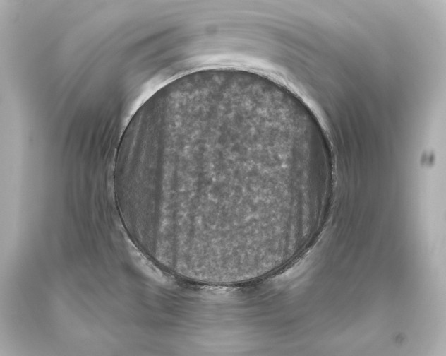 X0000093471529200711021220