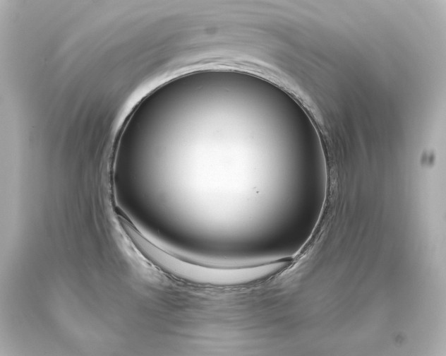 X0000093471530200711021220