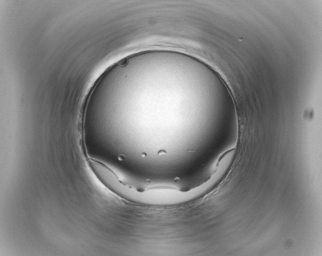 X0000093471531200711021220