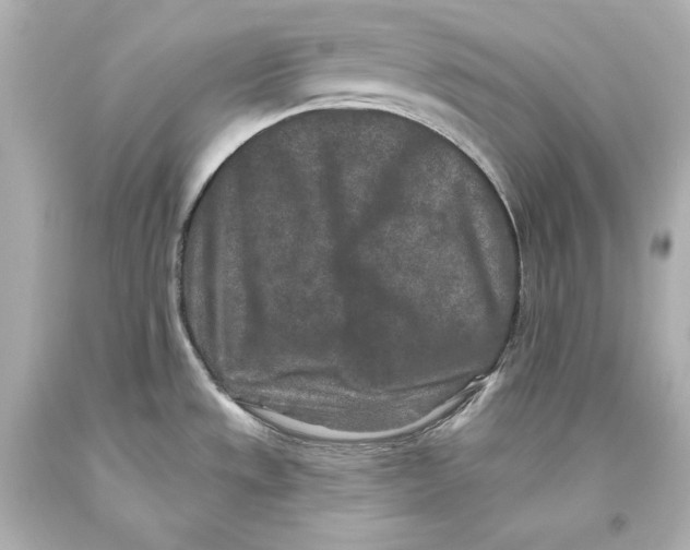 X0000093471533200711021220