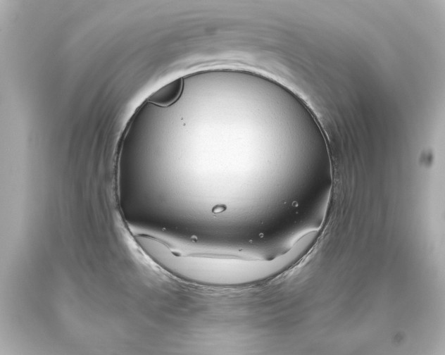 X0000093471534200711021220