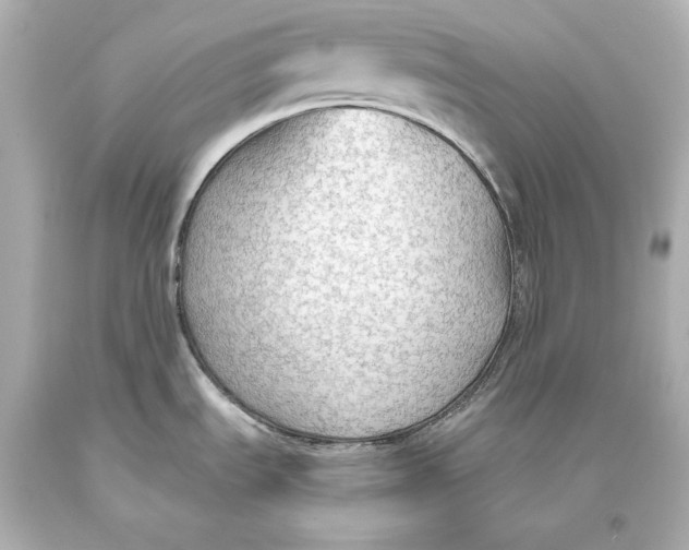 X0000093471535200711021220