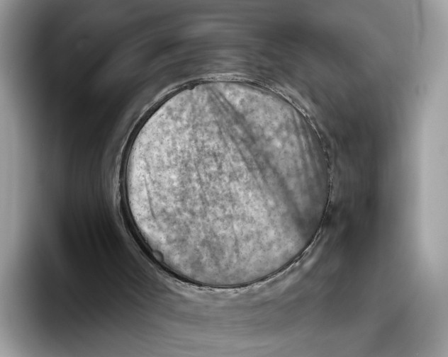 X0000093470002200711091616