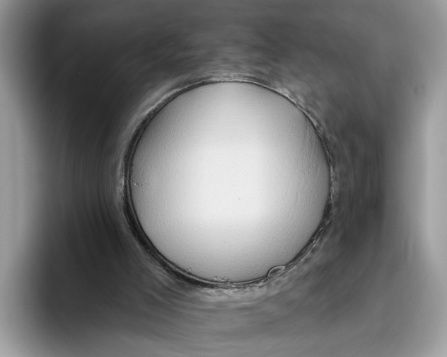 X0000093470005200711091616