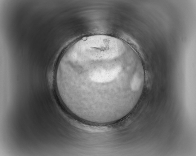 X0000093470012200711091616