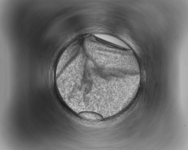 X0000093470014200711091616