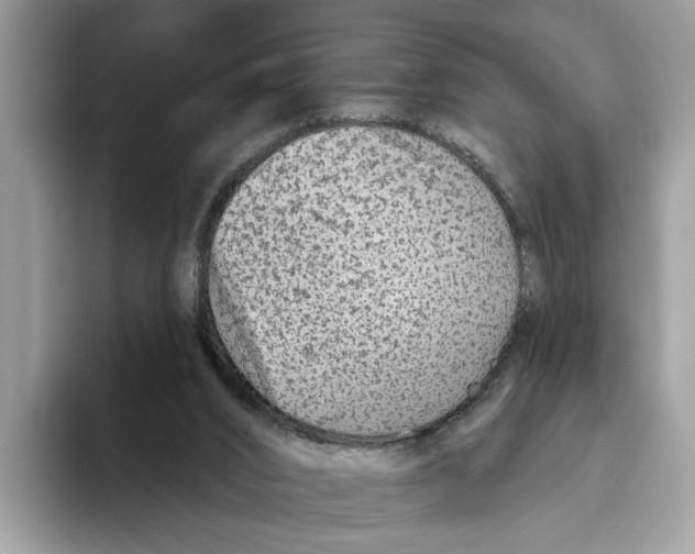 X0000093470016200711091616