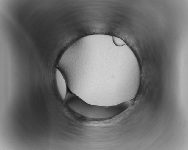 X0000093470017200711091616