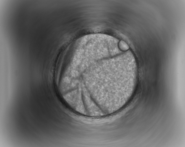 X0000093470018200711091616