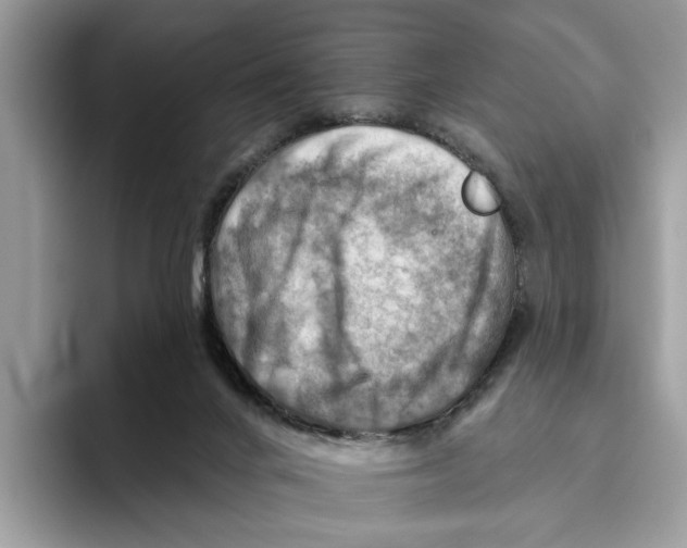X0000093470024200711091616