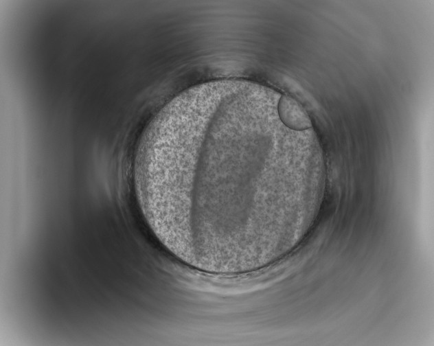 X0000093470026200711091616