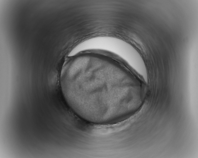 X0000093470029200711091616