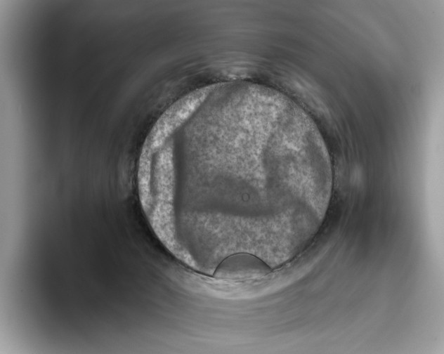 X0000093470030200711091616