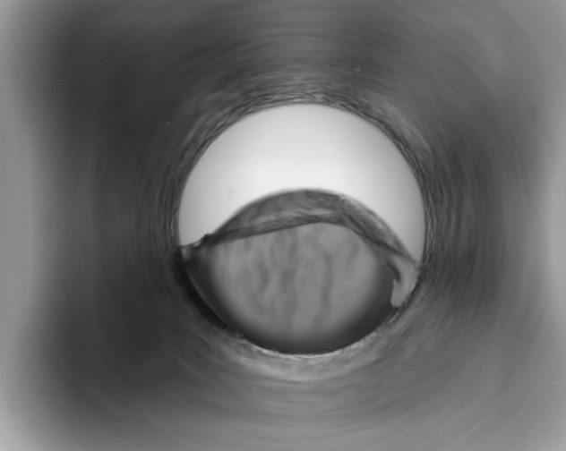 X0000093470035200711091616