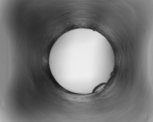 X0000093470040200711091616