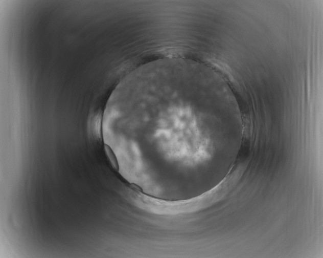 X0000093470047200711091616