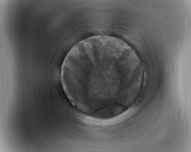 X0000093470048200711091616