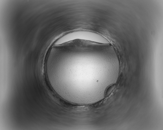 X0000093470050200711091615