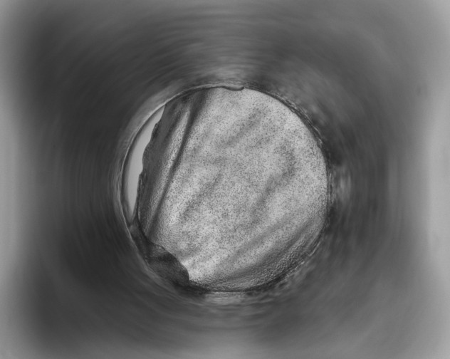 X0000093470051200711091615