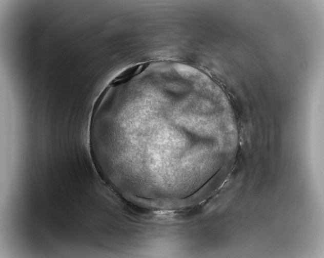 X0000093470052200711091615