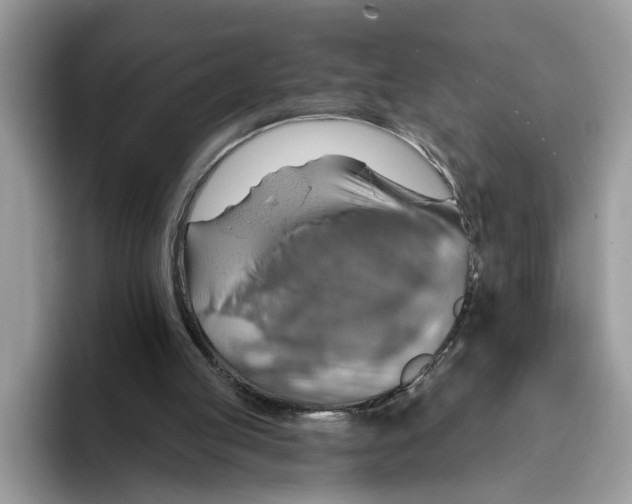 X0000093470053200711091615