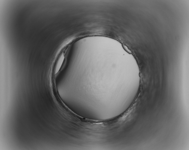 X0000093470054200711091615