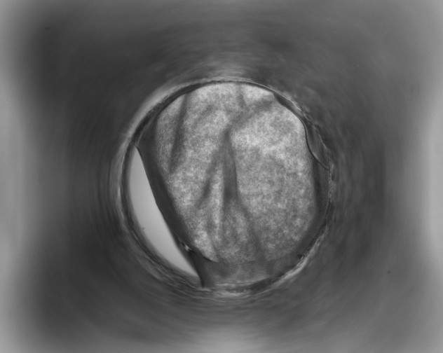 X0000093470056200711091615