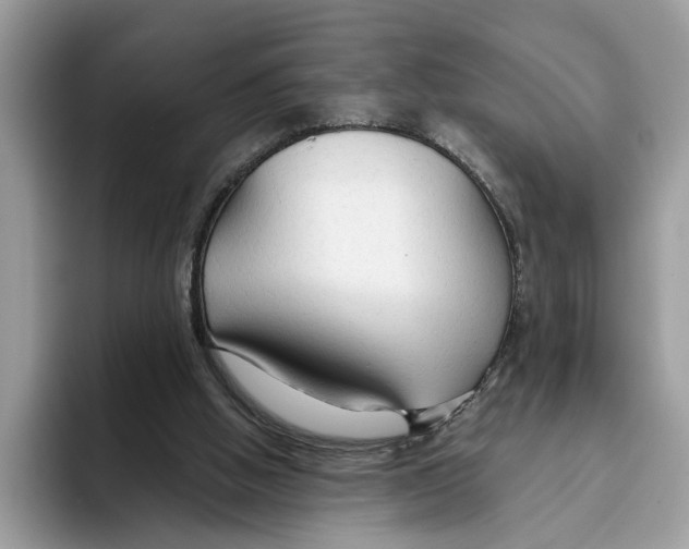 X0000093470058200711091615