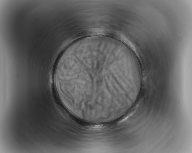 X0000093470059200711091615