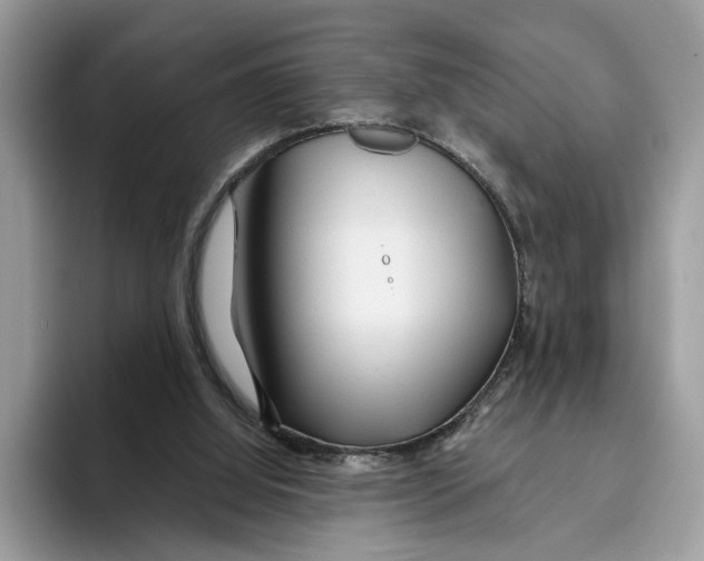 X0000093470060200711091615
